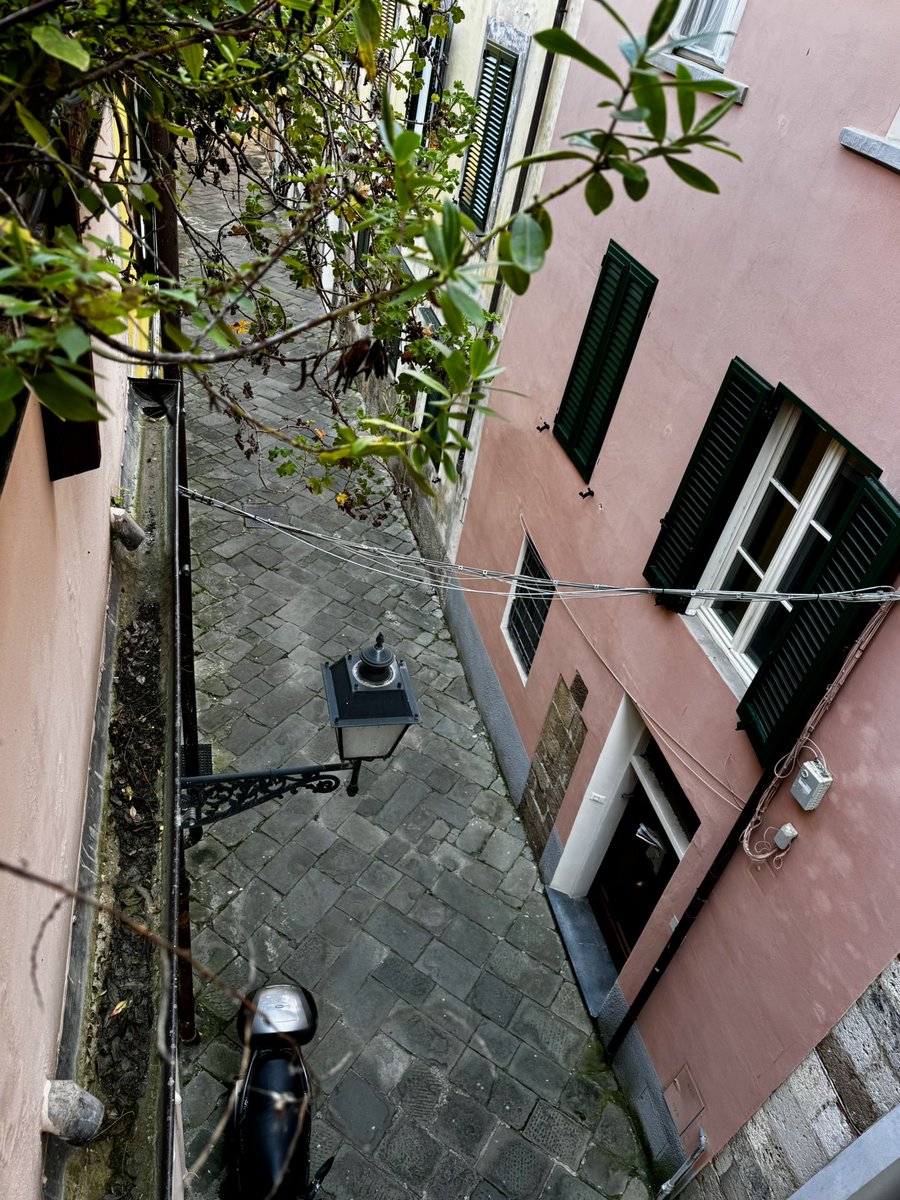 El Capitan🏴‍☠️ tweet media