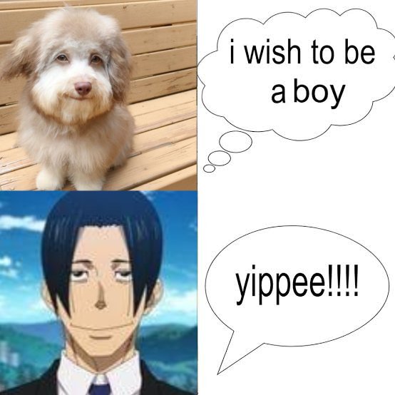 「 ✦ ᴇɢɢʏᴜᴍᴀ ✦ 」 tweet media