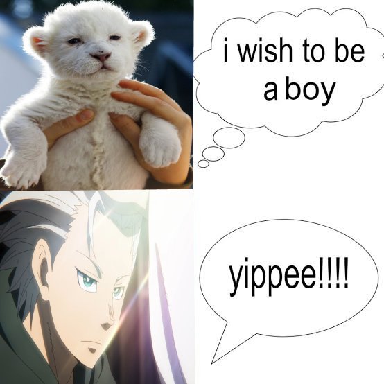 「 ✦ ᴇɢɢʏᴜᴍᴀ ✦ 」 tweet media