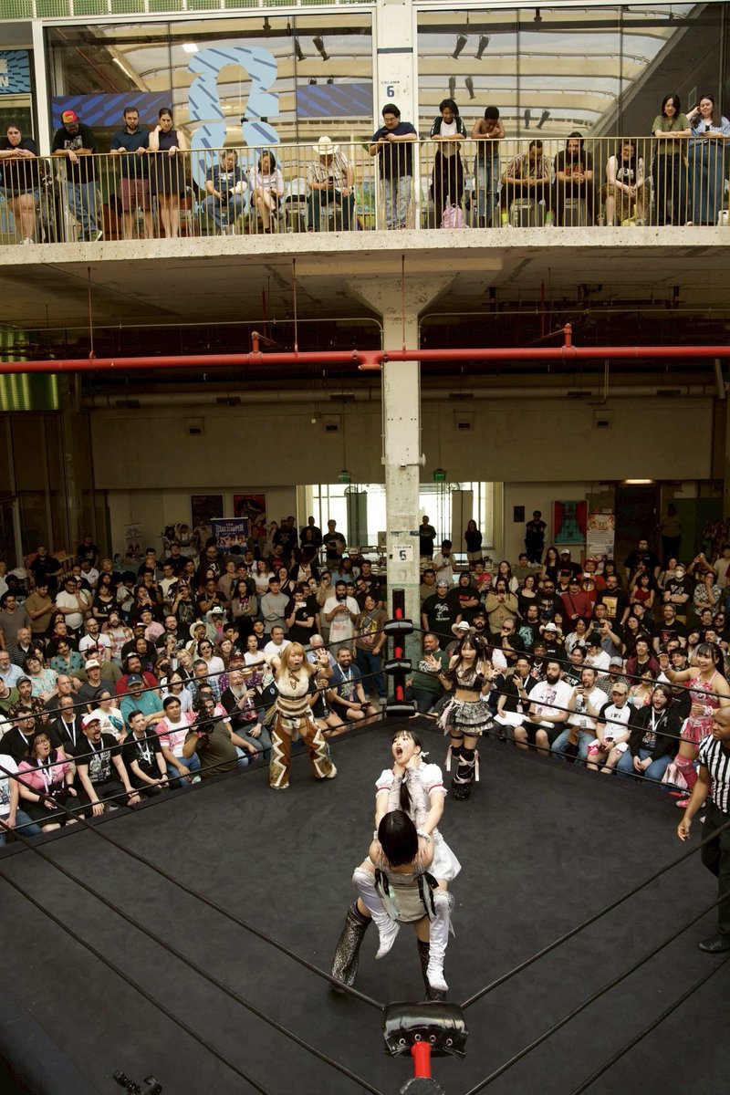 中島翔子 Shoko Nakajima tweet media