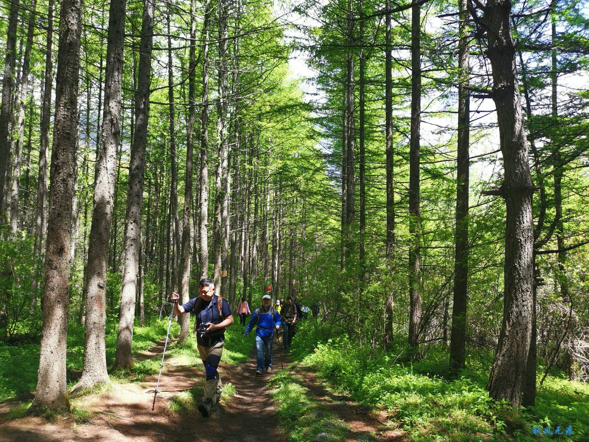 Anderson tweet media