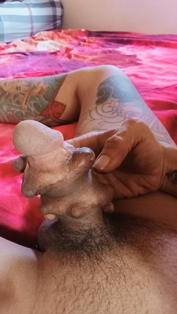 หำใหญ่ไข่ยาน tweet media