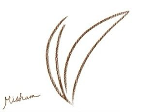 Polly "Apollo" Justice tweet media