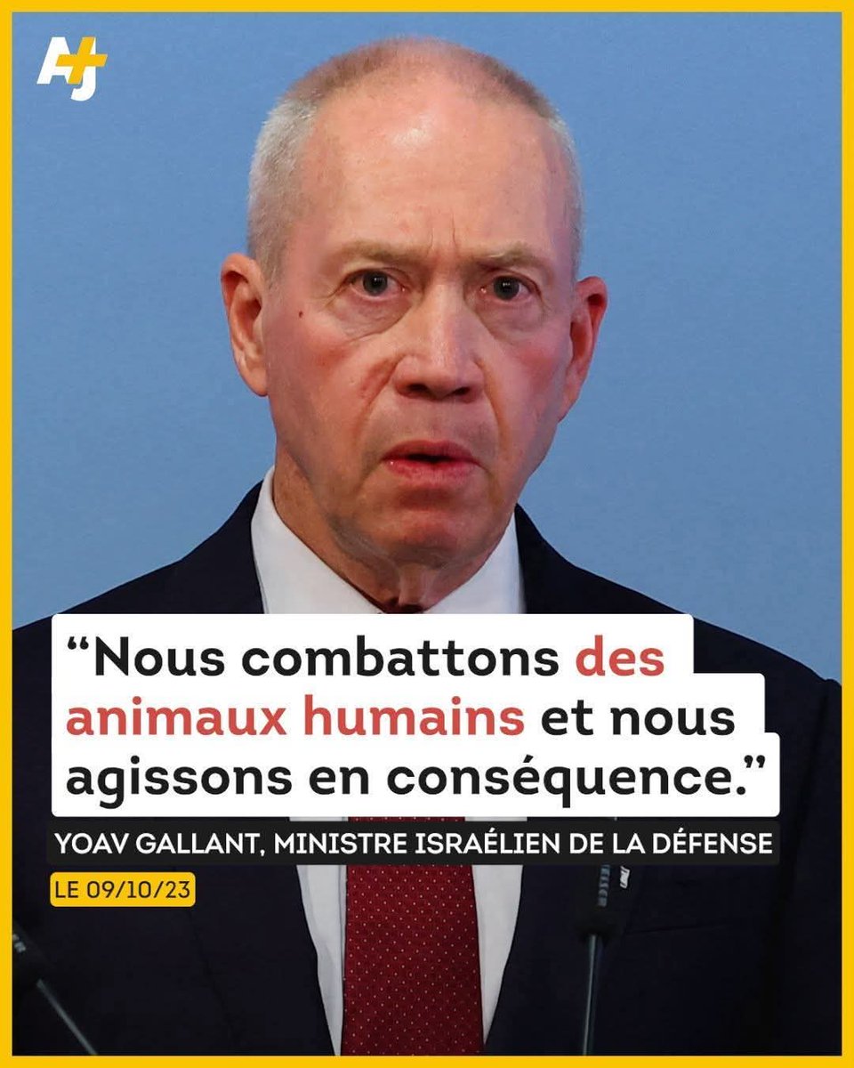 Paul Dohen 🐢🔺🍉 tweet media