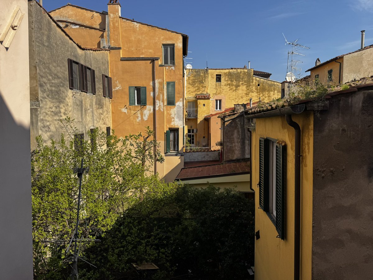 El Capitan🏴‍☠️ tweet media