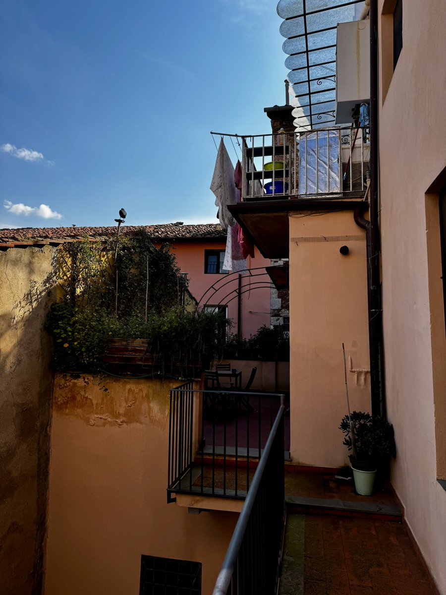 El Capitan🏴‍☠️ tweet media