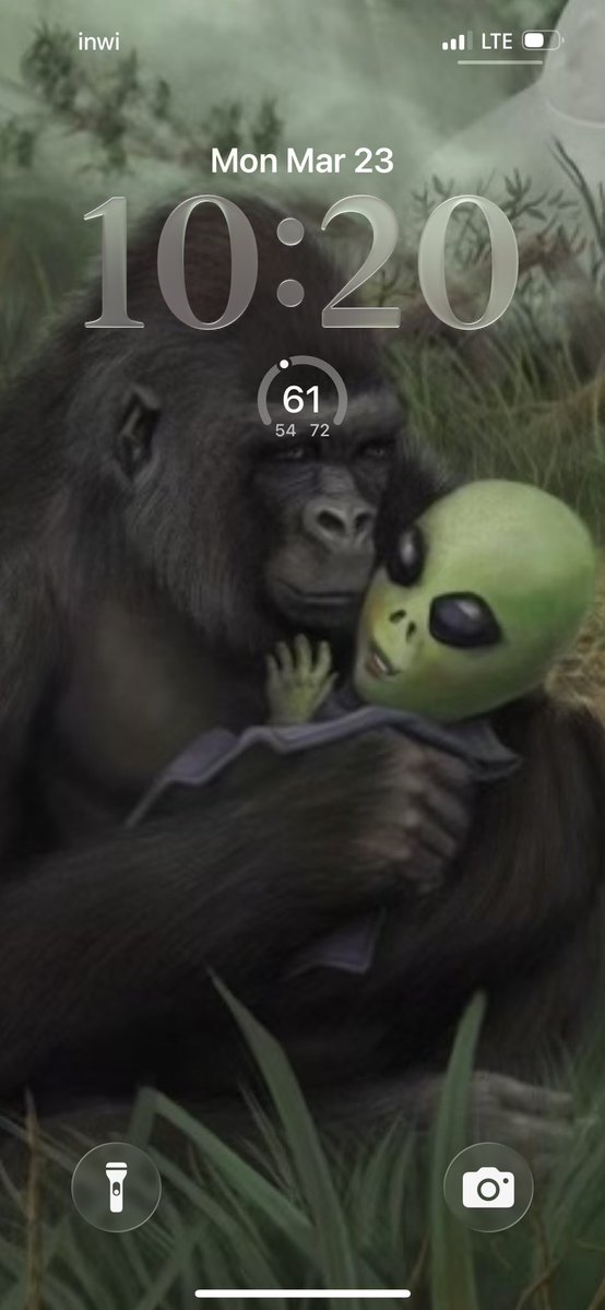 BACKWOOD BOY tweet media