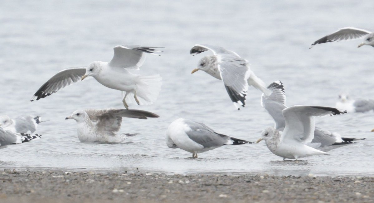 Rich Andrews tweet media