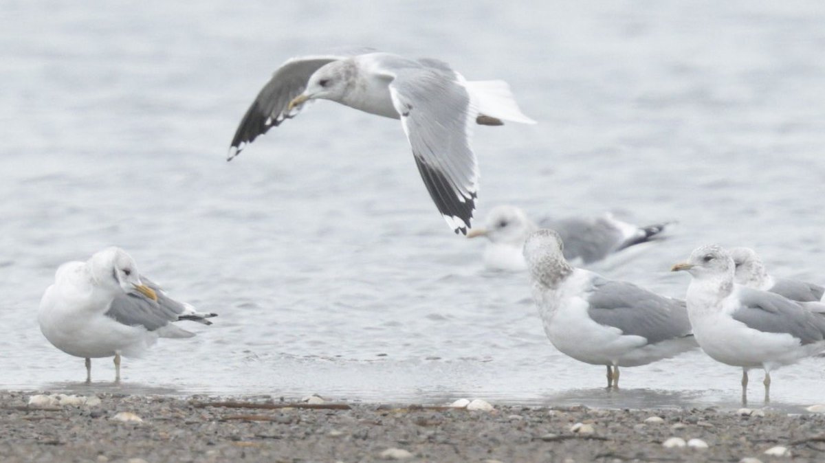 Rich Andrews tweet media