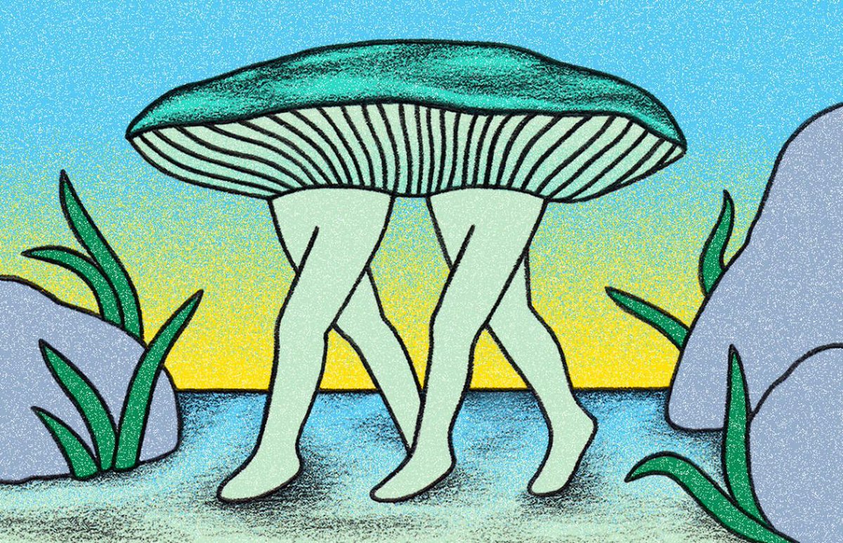 Creative Boom tweet media