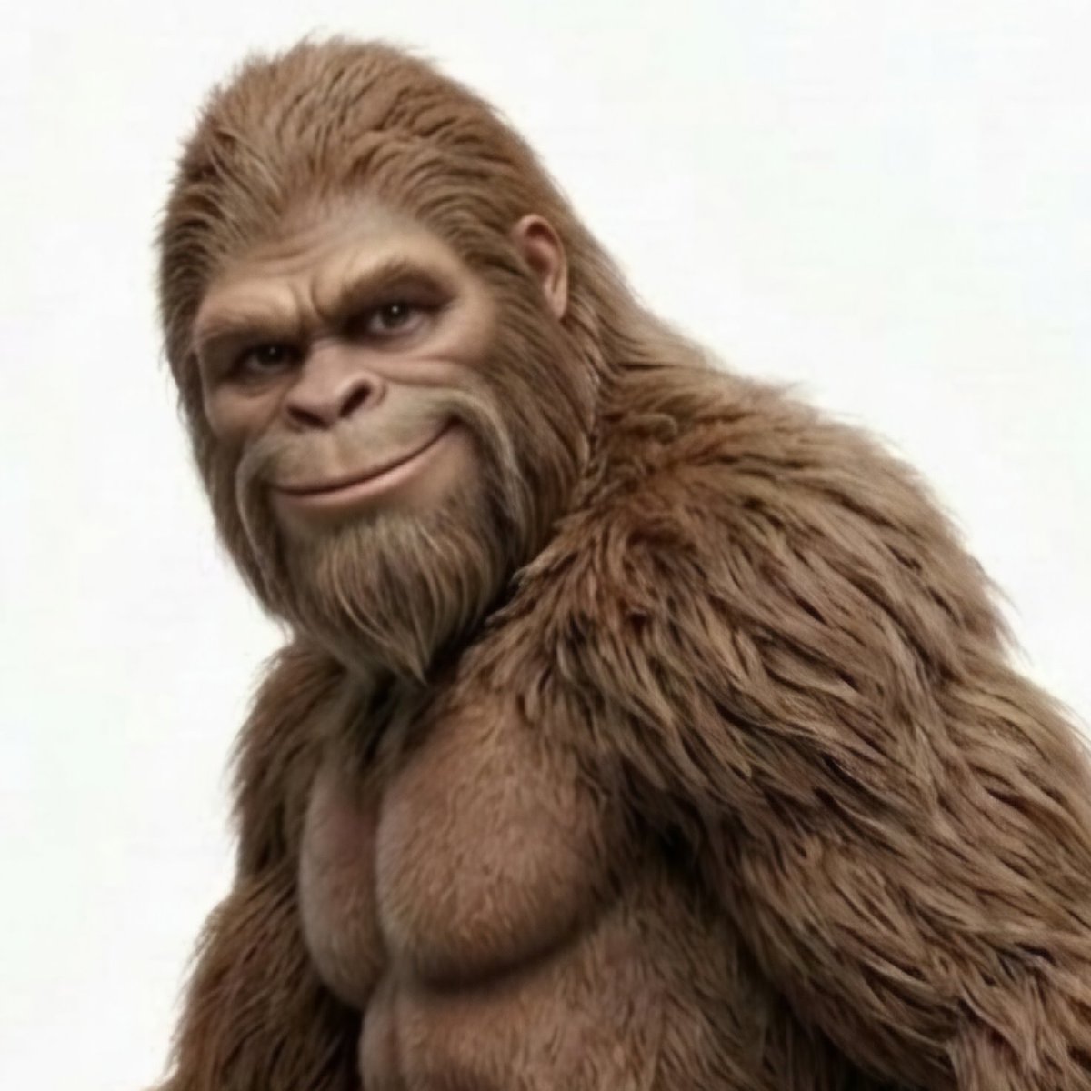 BritXBT 🔶禪 tweet media