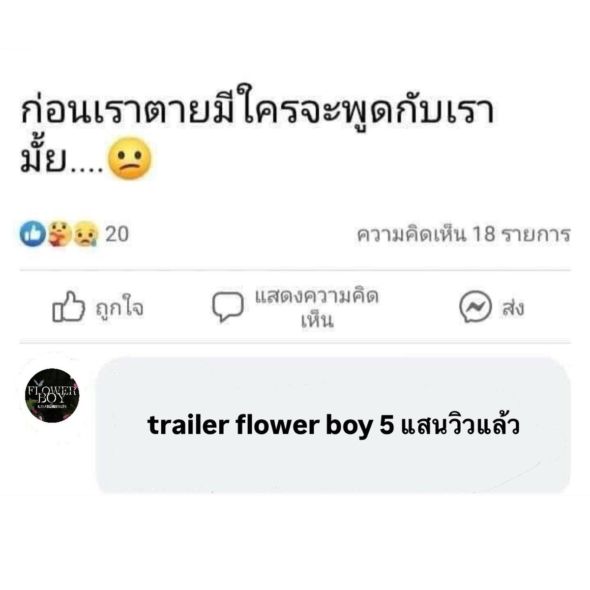 lana ❦ tweet media