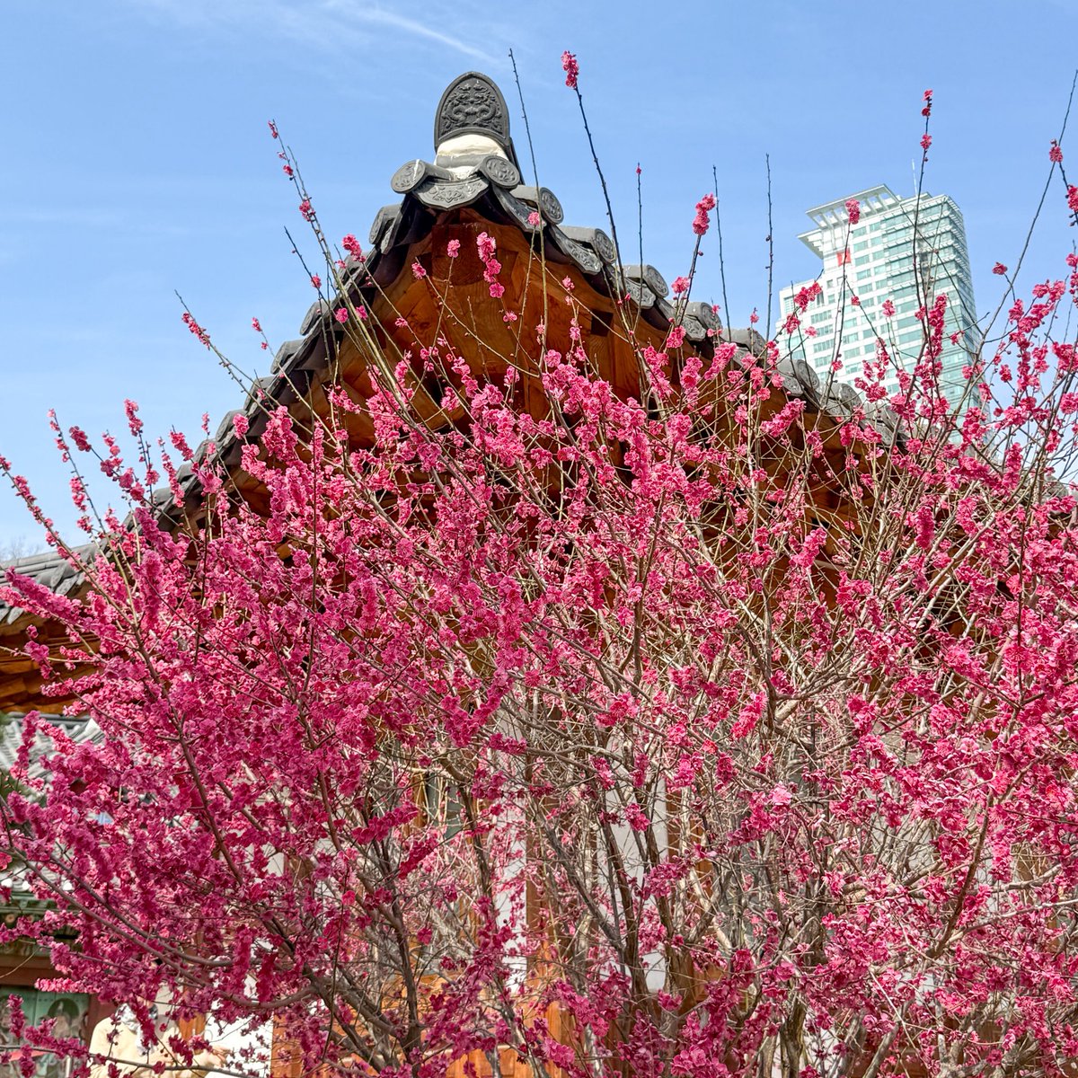 เม้าท์มอยเกาหลี tweet media