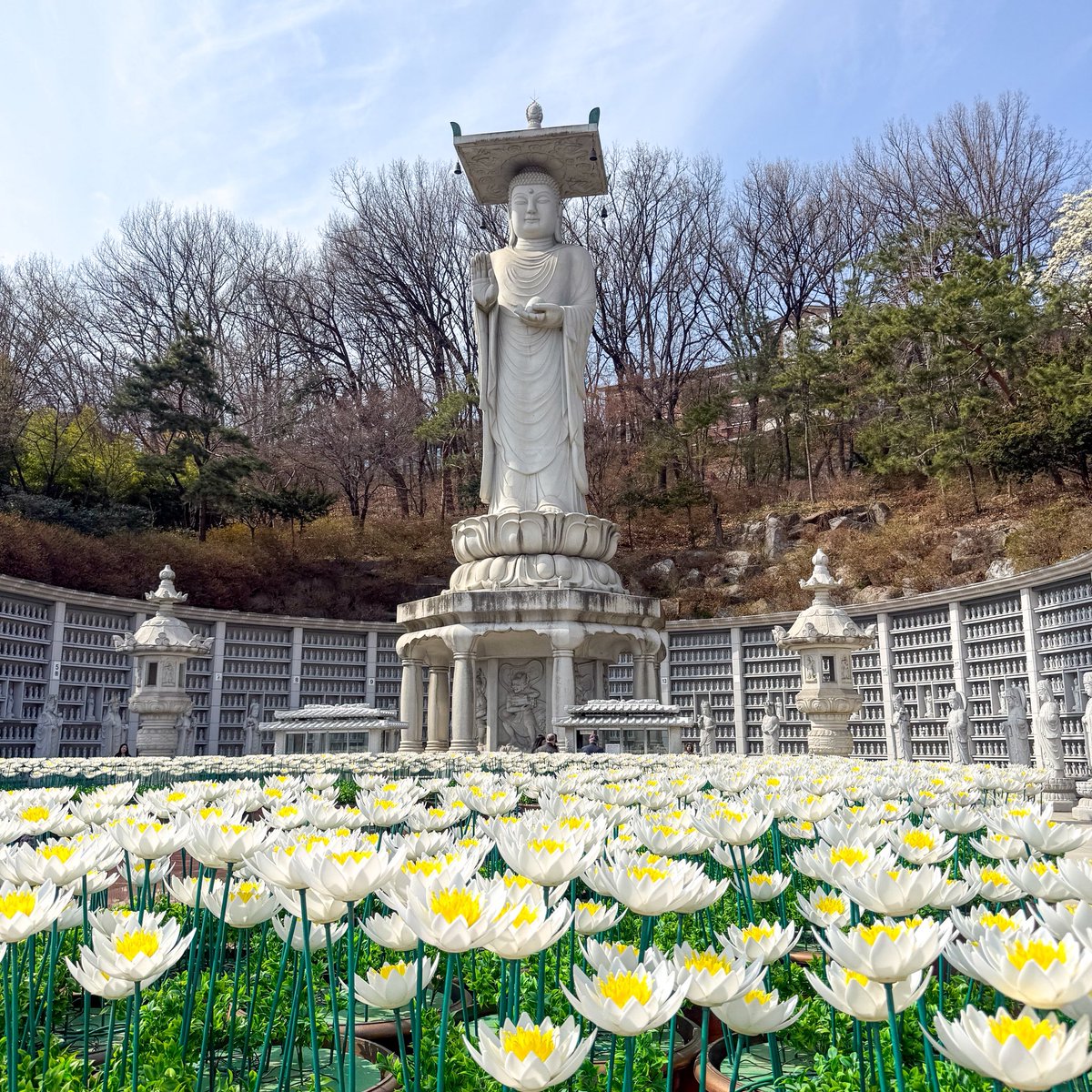 เม้าท์มอยเกาหลี tweet media