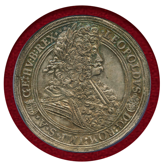 ぽぽろ tweet media