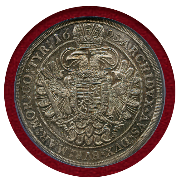 ぽぽろ tweet media