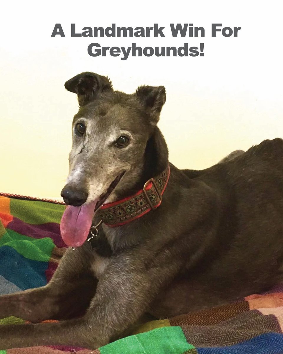 Ban Blood Sports tweet media