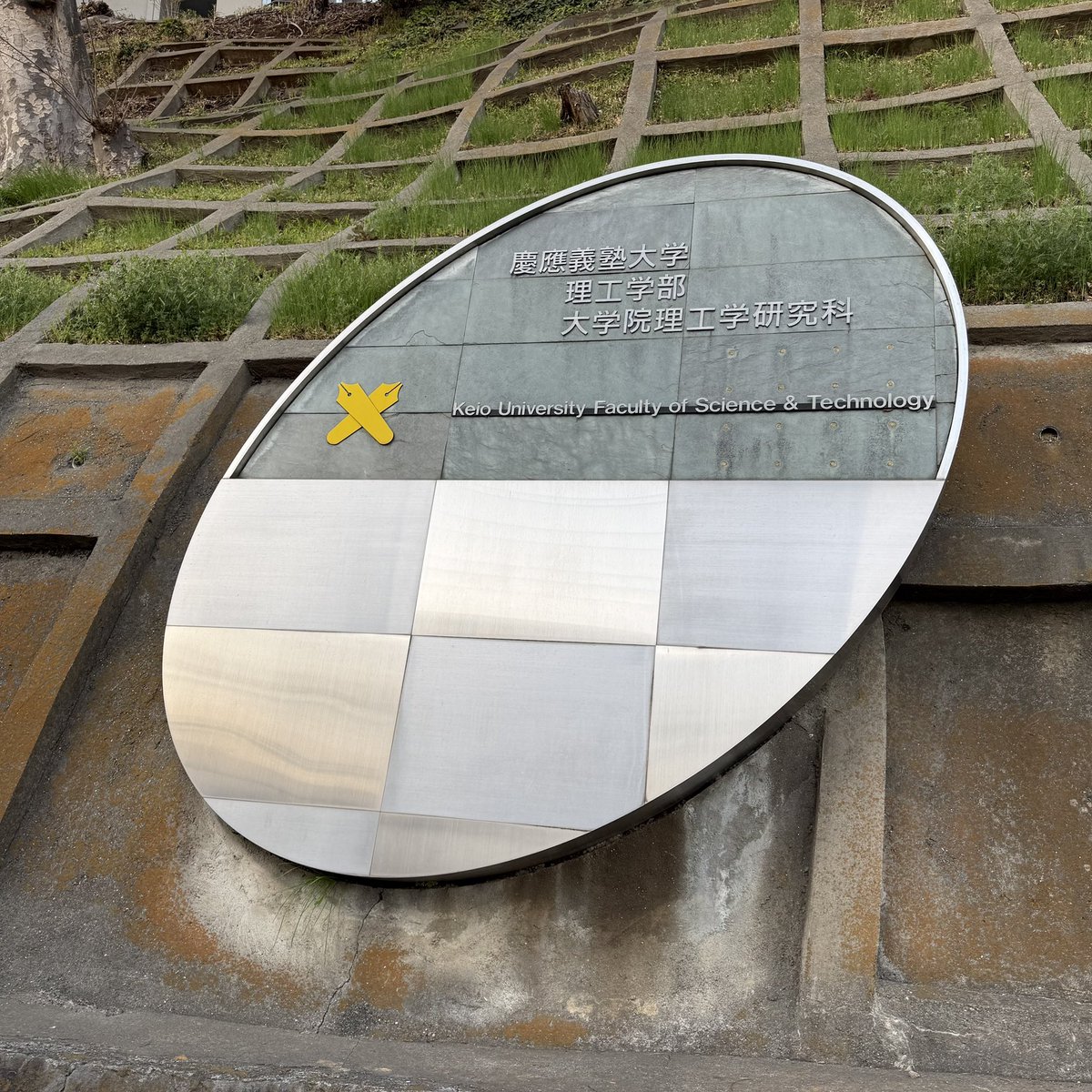 ごうにゃりん tweet media