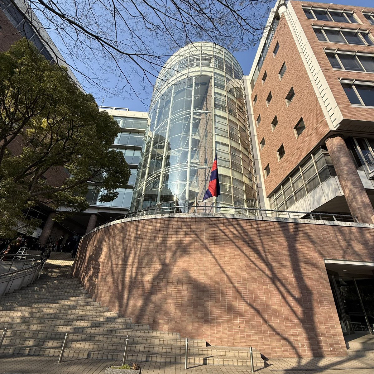 ごうにゃりん tweet media