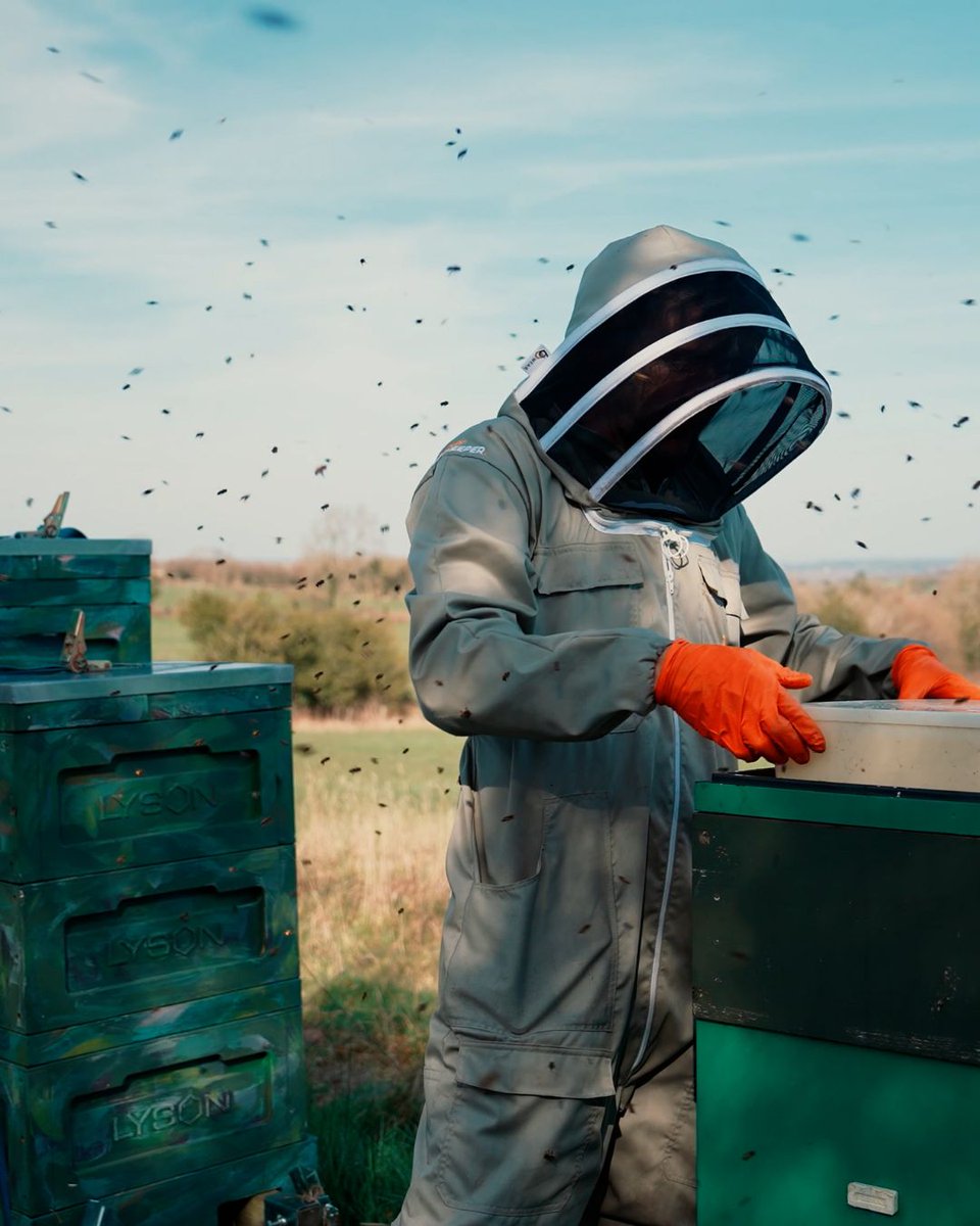 Black Mountain Honey tweet media