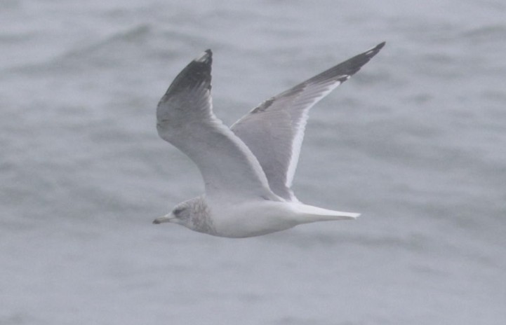 Rich Andrews tweet media