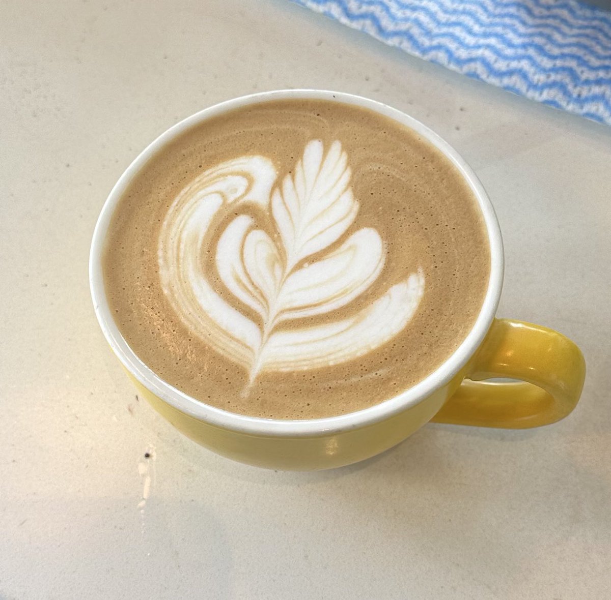 Shia 시아 tweet media