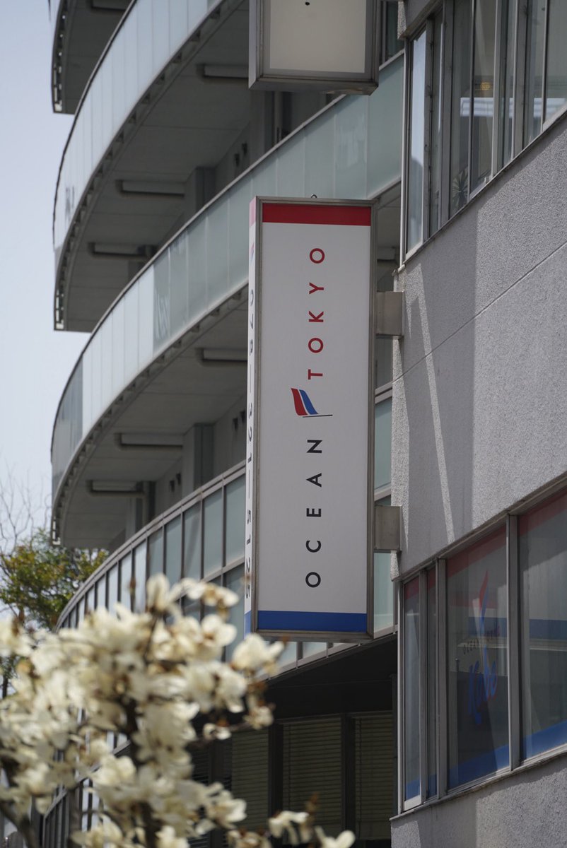 せいじの部屋 tweet media