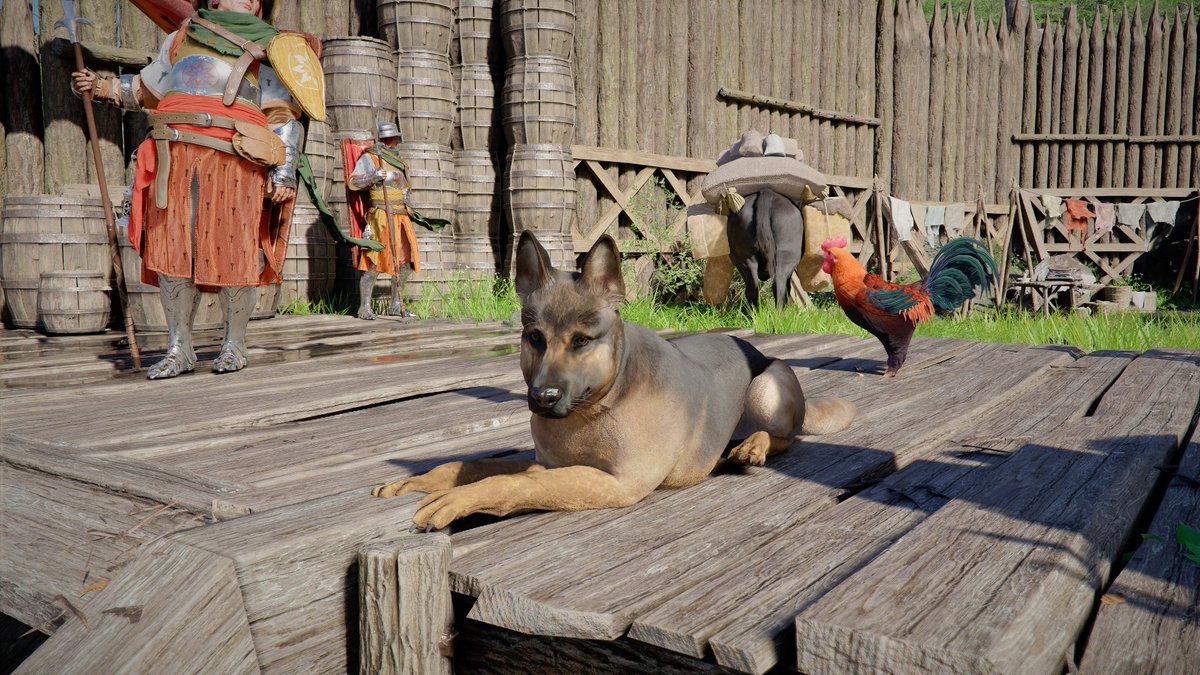 ピピ🐻 tweet media