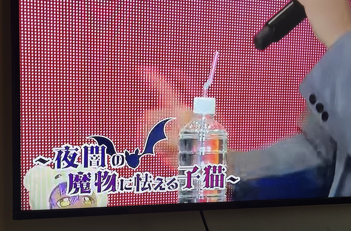 💥🔥수스님🔥💥 tweet media