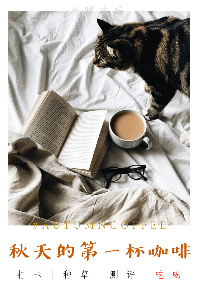 MARY COSTELLO tweet media