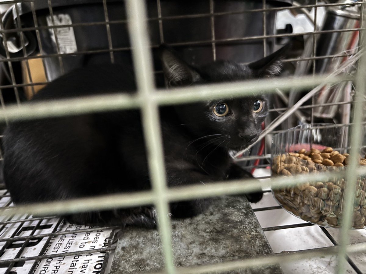 Jeepuka ♡ tweet media