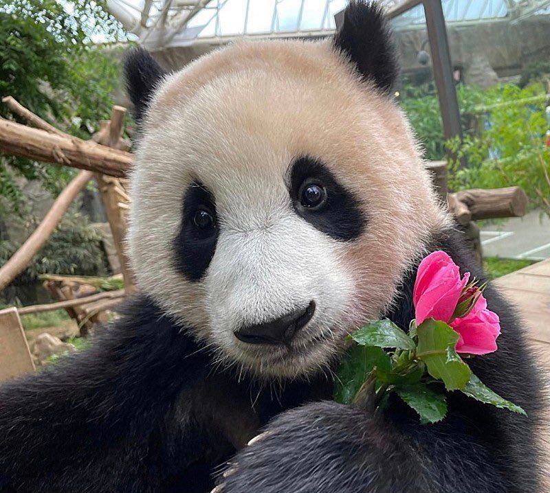 DJ burger 🍔🐯🎵 tweet media