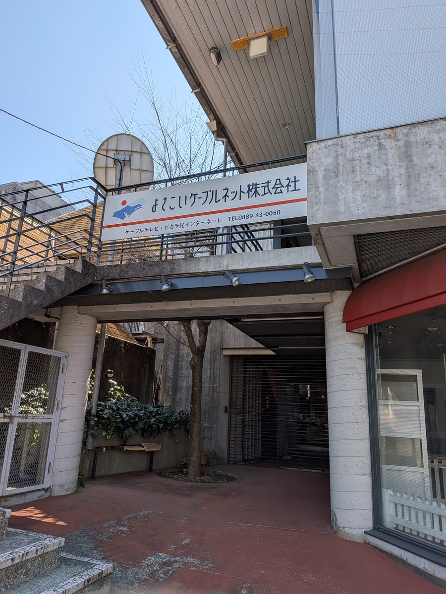 桑井ゆた tweet media