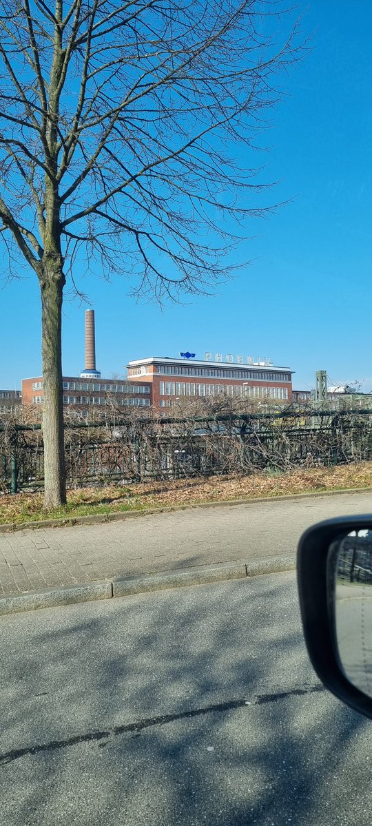 #TwaPaloma...( er nun wieder) tweet media