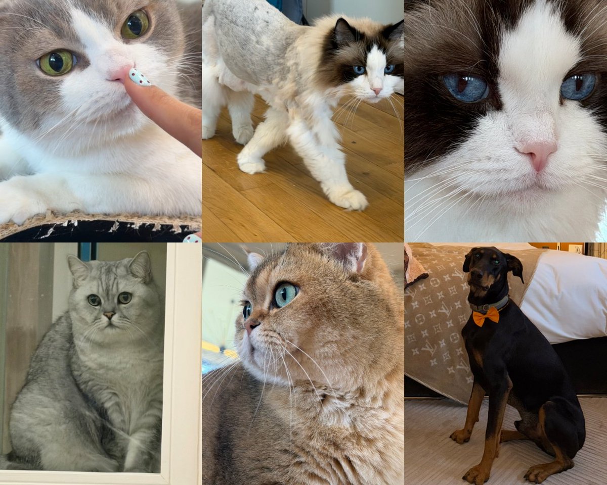 __✮🍃บบมเบบี้ฮิลฬ่าห์เมลรอล🪽✮__ tweet media