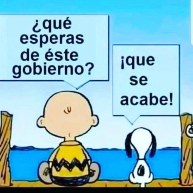 lilian torres tweet media