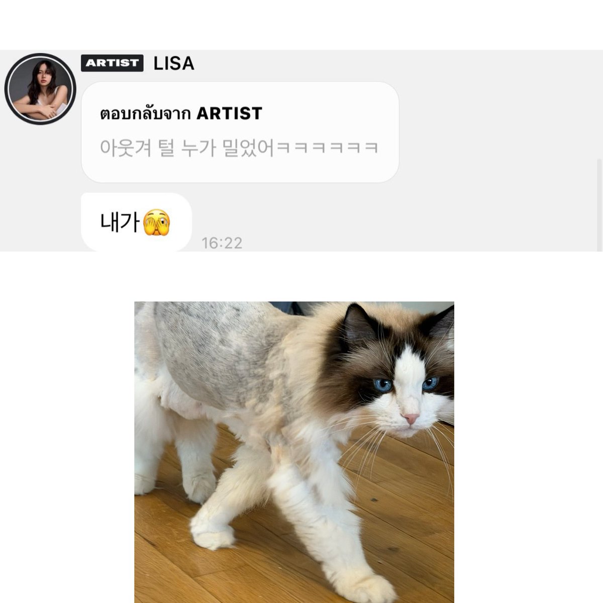 LALICE UPDATES tweet media