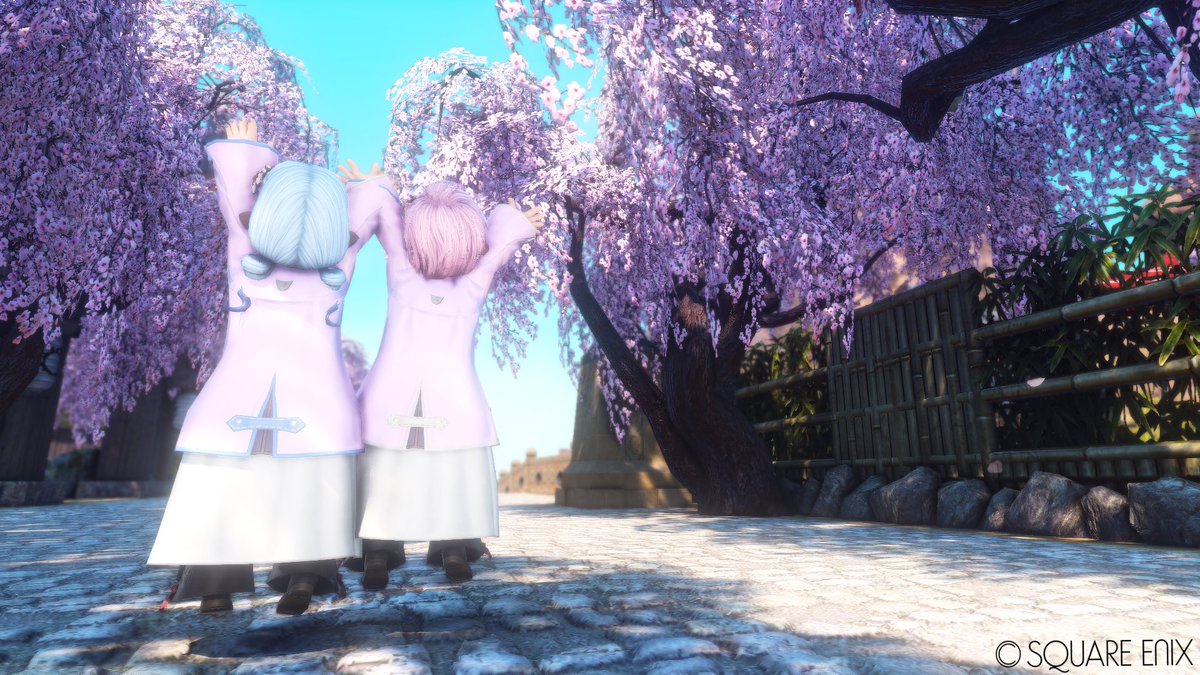 ライトニング⚡️ tweet media