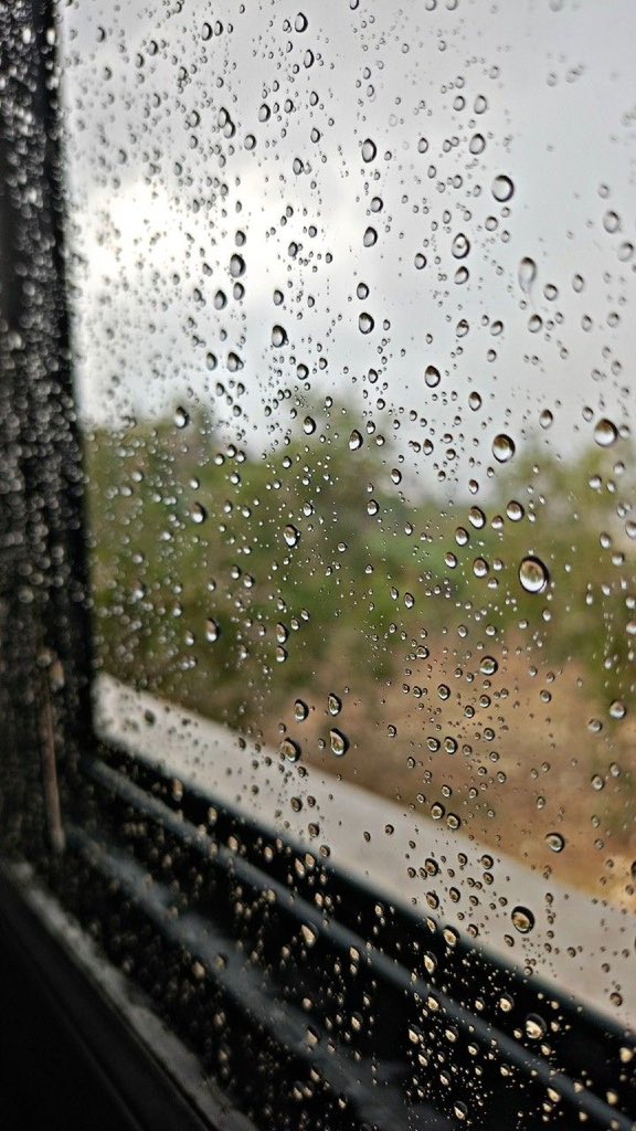 Um~aldanat3 tweet media