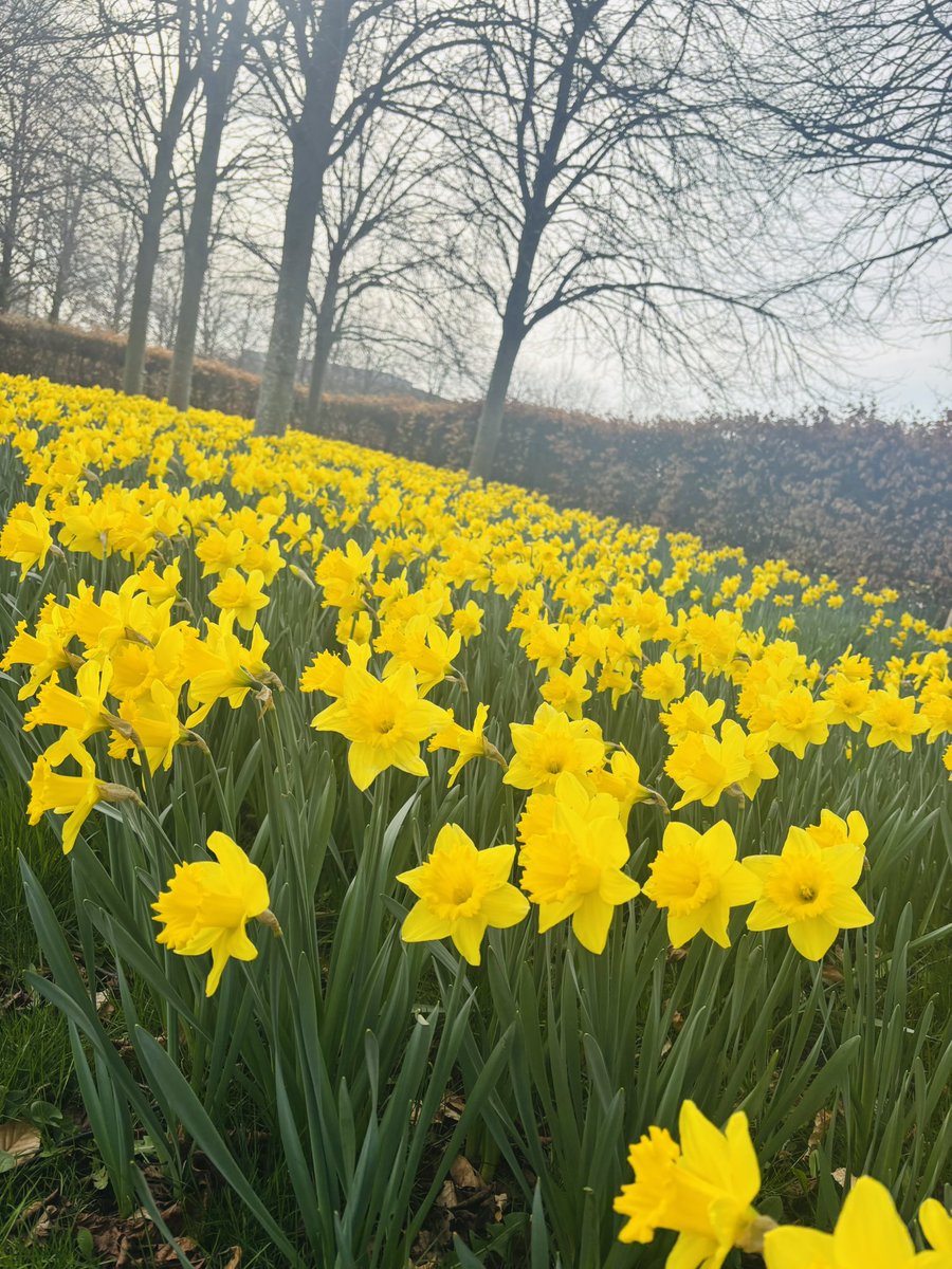 LadyBOSS tweet media