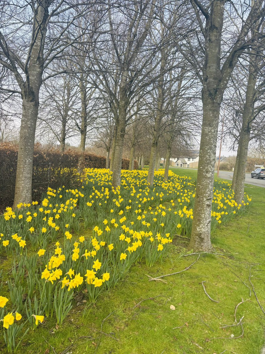 LadyBOSS tweet media