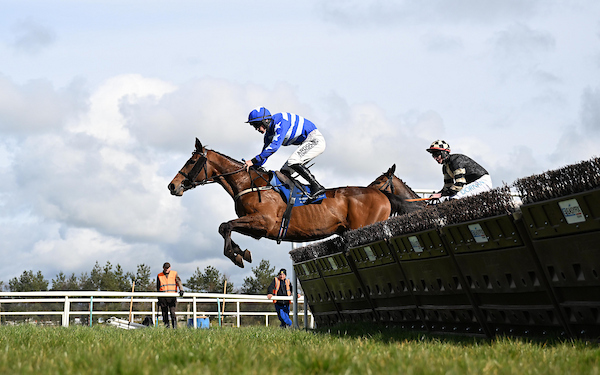 WillieMullinsNH's tweet photo. Sunday done right @LimerickRaces ✅

Baby Kate flies home under @BrianHayesb in the first for the Blue and White Syndicate &amp; @PTownend guides Dani Donadoni to a brilliant finish in the third for Mrs McCarthy🥇

📸 @patcashhealy https://t.co/tCDW4Gwcz1
