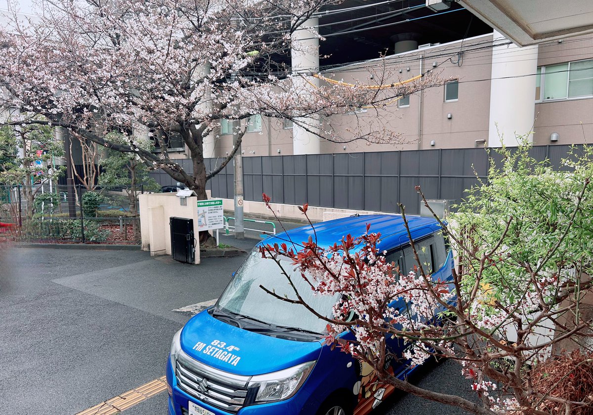 小原優(パグミー) tweet media