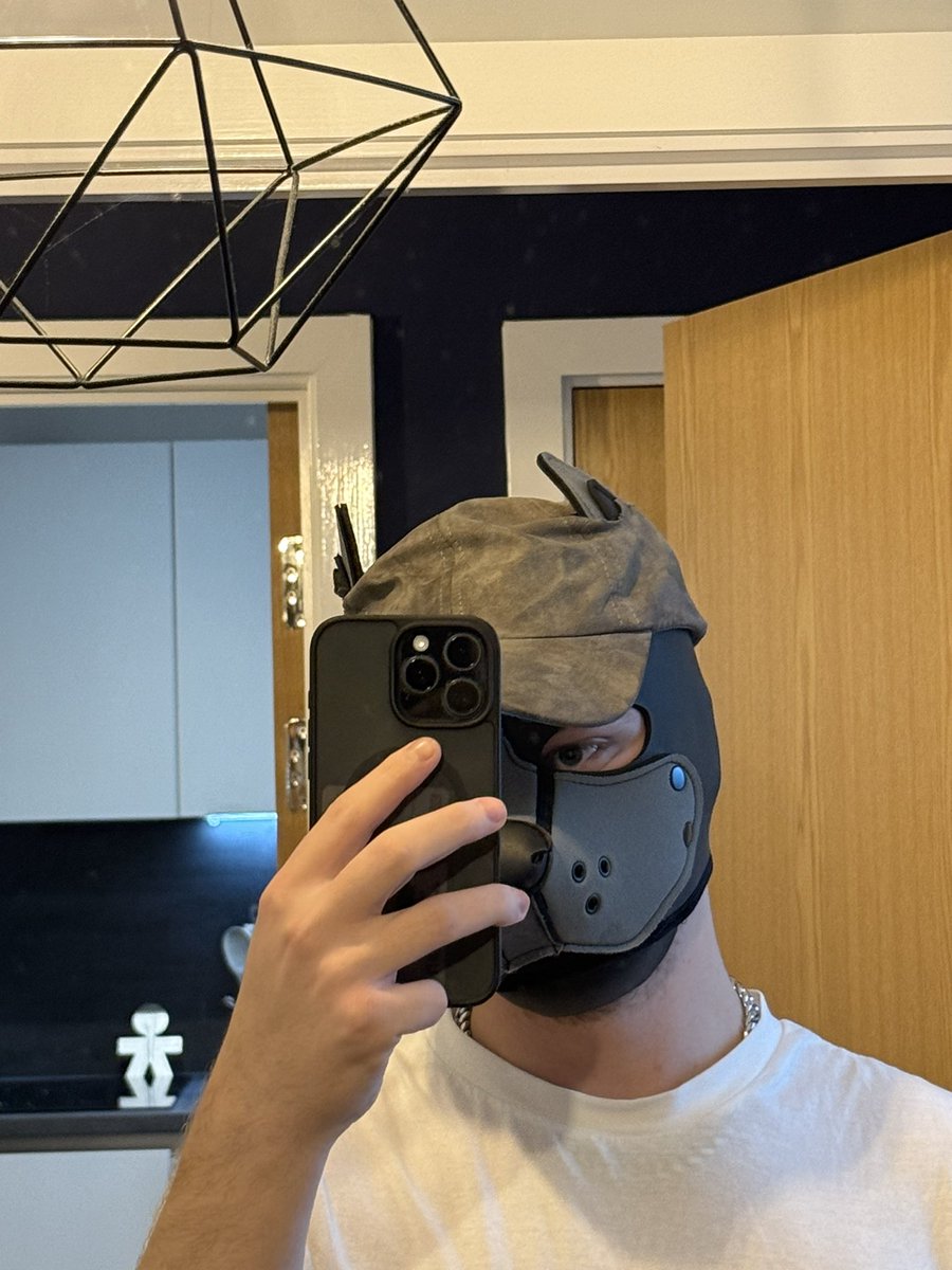 Pup_Comet tweet media