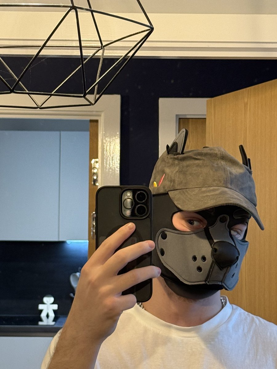 Pup_Comet tweet media