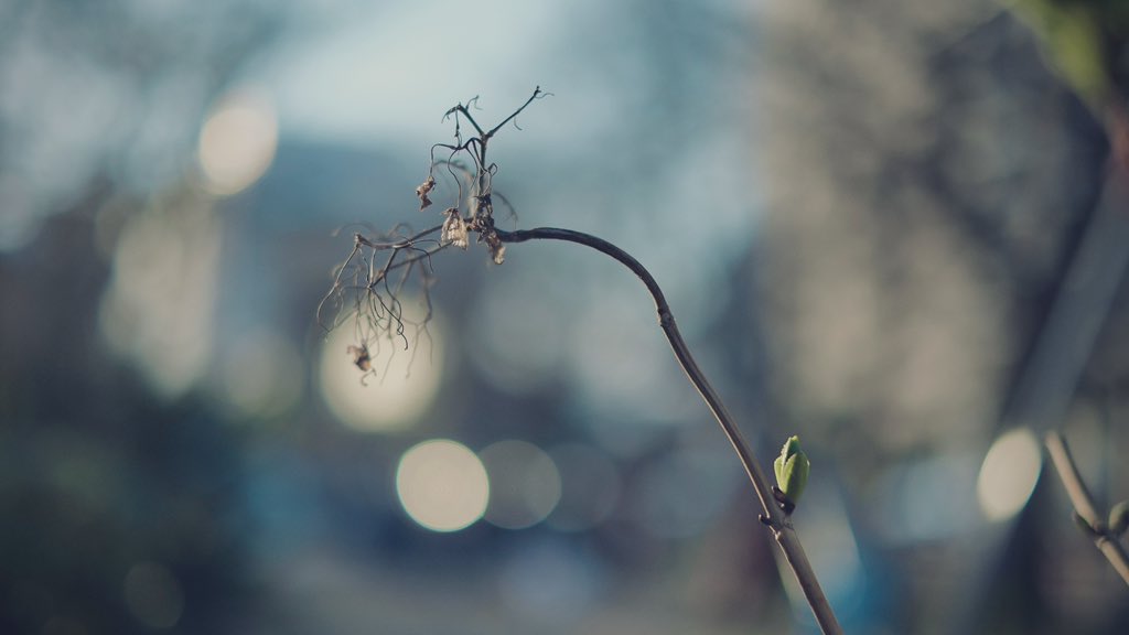 𝙢𝙞𝙞 tweet media