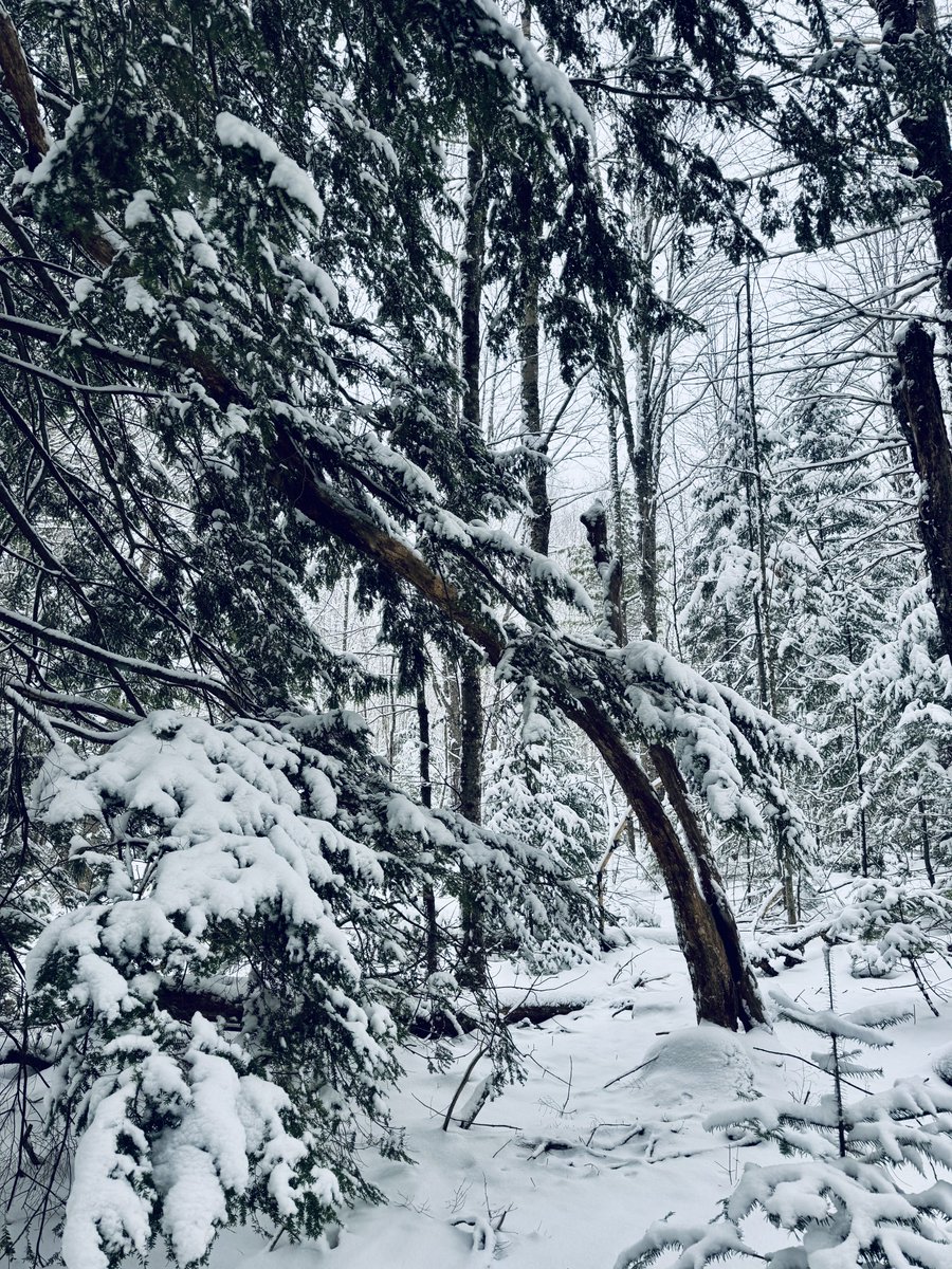 K. W. Bernard tweet media