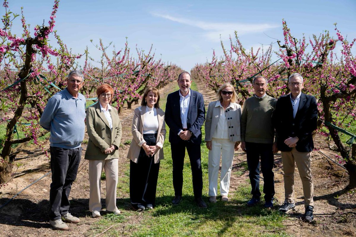 Ajuntament d'Aitona tweet media