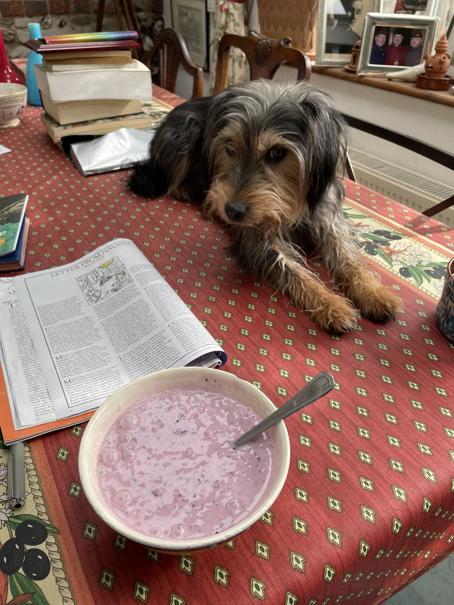 harrybucknall tweet media