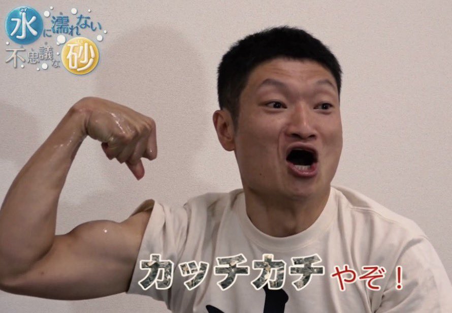 ニャンピョウ　RN　オカメインコ tweet media